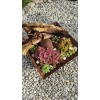 Oczko wodne DONICZKA Donica Metalowa RUSTYKALNA efekt corten kwadratowa 30x30cm