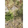 Podpora Parasol do wisterii roślin podpórka średnica 60cm wysokość 200cm Anna