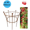1 x Podpora solidna do roślin krzewów hortensji róż piwonii podpórki średnica 40cm wysokość 50cm