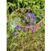Stylowa Podpora do roślin krzewów hortensji podpórka solidna średnica 40cm wysokość 60cm