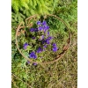 Stylowa Podpora do roślin krzewów hortensji podpórka solidna średnica 40cm wysokość 60cm