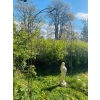 Pergola metal LUCK DESIGN łuk szerokość 120cm wysokość 230 cm + 4× Haczyk haki metalowy DO MOCOWANIA DO ZIEMI 30cm