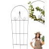 Podpora drabinka trejaż do roślin pnących róż krzewów hortensji monstera 60cm x 170cm podpórki