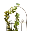 Podpora drabinka trejaż do roślin pnących róż krzewów hortensji monstera 60cm x 170cm podpórki