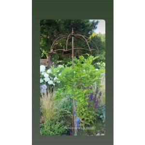 Podpora metalowa solidna Parasol do wisterii roślin pergola do róż podpórka średnica 60cm wysokość 200cm Anna