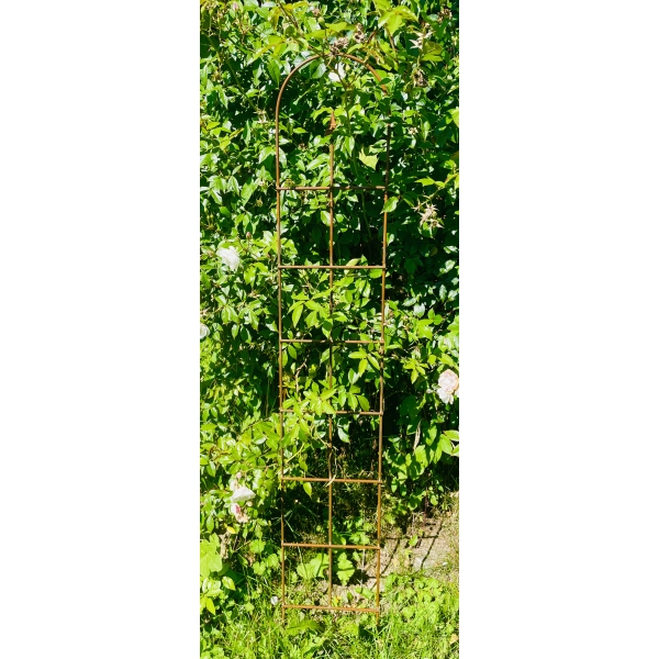 Podpora , drabinka do roślin pnących róż krzewów hortensji monstera 60 cm podpórki