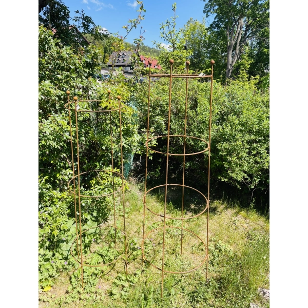 Podpora do roślin krzewów piwonii hortensji róż podpórki pergola obelisk średnica 50 wysokosć 160cm