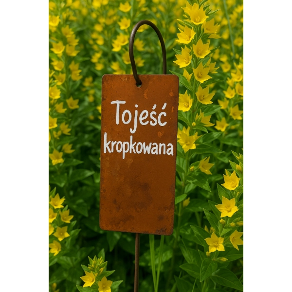 Znacznik prostokątny do roślin serce rustykalne 10cm x 5 sztuk zestaw