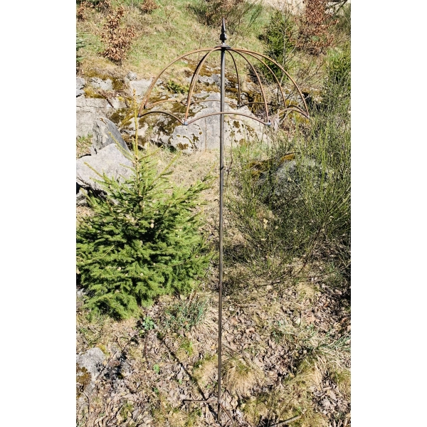 Podpora Parasol do wisterii roślin podpórka średnica 60cm wysokość 200cm Anna