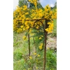 Stylowa Podpora do roślin krzewów kwiatów PERGOLA D60H90cm jakość polska