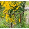 Podpora stylowa do roślin kwiatów krzewów PERGOLA ogród 40/80cm solidna PL