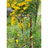 Podpora stylowa do roślin kwiatów krzewów PERGOLA ogród 40/80cm solidna PL