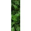 Stylowa Podpora do roślin krzewów PERGOLA H140cm