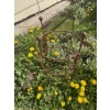 1x Podpora do roślin krzewów kwiatów roślin solidna średnica 30cm wysokość 55cm