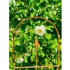 Stylowa Podpora do roślin krzewów PERGOLA H140cm