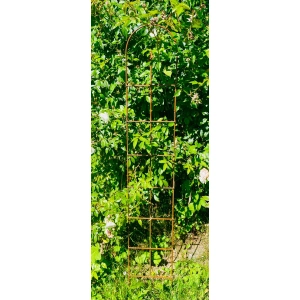 Stylowa Podpora do roślin krzewów PERGOLA H180cm Styl i Jakość