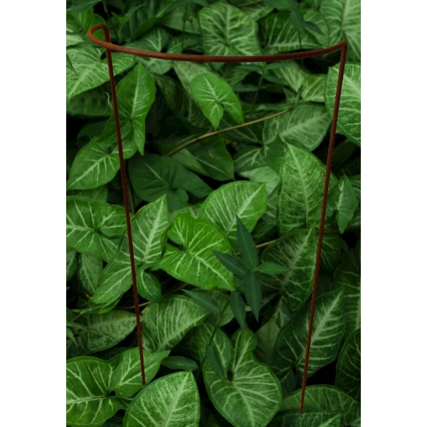 Podpora do krzewów roślin kwiatów pergola 30/50cm pojedyncza półokrągła