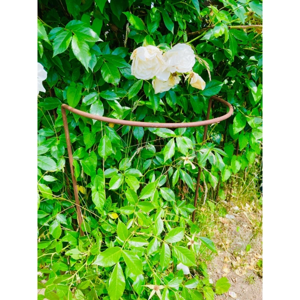 Podpora do krzewów roślin kwiatów pergola 30/50cm pojedyncza półokrągła