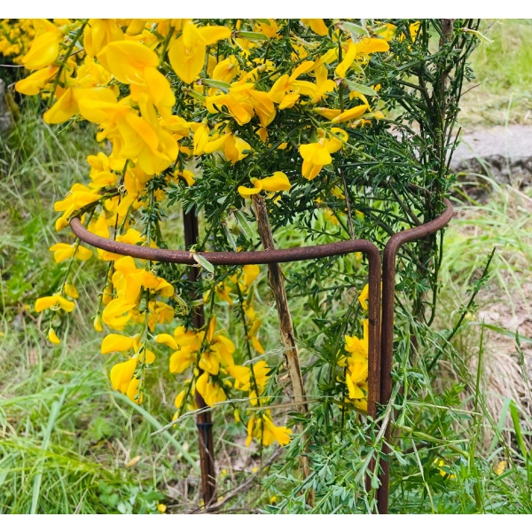 Podpora stylowa do roślin kwiatów krzewów PERGOLA ogród 40/80cm solidna PL
