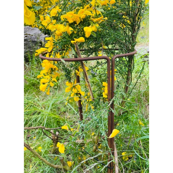 Podpora stylowa do roślin kwiatów krzewów PERGOLA ogród 40/80cm solidna PL