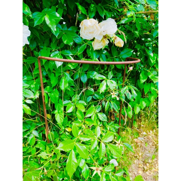 Podpora do krzewów roślin kwiatów pergola 30/50cm pojedyncza półokrągła