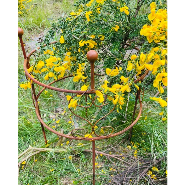 1x Podpora XL do roślin krzewów kwiatów roślin ogród podpórki średnica 60cm wysokość 100 cm solidna