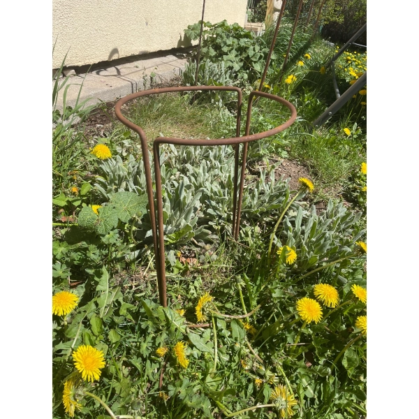 Podpora do roślin krzewów kwiatów pergola ozdoba komplet 2 sztuk średnica 30 wysokość 50cm JAKOŚĆ solidna
