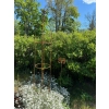 Podpora obelisk do roślin krzewów piwonii hortensji róż podpórki pergola D30 170cm