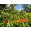 Podpora metalowa roślin krzew podpórka obrzeże pergola solidna 60x50cm