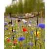 Podpora do krzewów roślin kwiatów pergola 30/50cm pojedyncza półokrągła