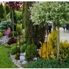 ogrodzenie palisada dekoracyjne obrzeże pergola podpora 60x60cm polski