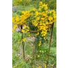 Stylowa Podpora do hortensji roślin krzewów Podpórki średnica 50 cm wysokość 80cm półokrągła