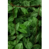 Podpora do krzewów roślin kwiatów pergola 30/50cm pojedyncza półokrągła