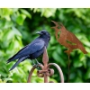 Piękny kruk na piku dekoracja figurka 60cm ogród doniczka ozdoba RUSTYKALNA