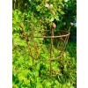 Podpora do roślin krzewów piwonii hortensji podpórki średnica 50cm wysokość 60cm styl 4 SZTUKI