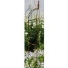 Podpora Obelisk do roślin krzewów kwiatów róż hortensji PIWONII PERGOLA średnica 40 cm wysokość 150cm