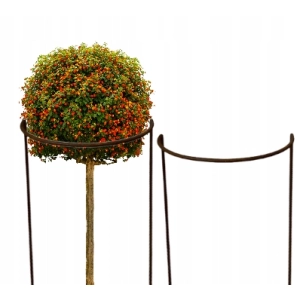 Podpora do krzewów roślin kwiatów pergola 30/50cm pojedyncza półokrągła