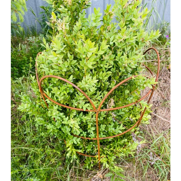 Podpora hortensji kwiatów roślin pergola 60cm róż monstera podpórki piwonii