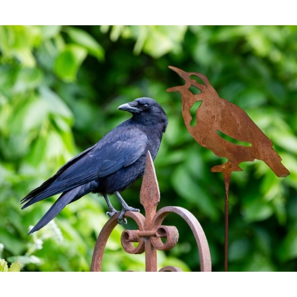 Piękny kruk na piku dekoracja figurka 60cm ogród doniczka ozdoba RUSTYKALNA