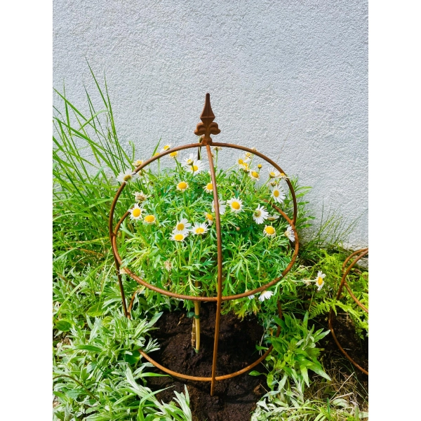 Podpora do roślin krzewów kwiatów roślin piwonii PERGOLA H 50 60cm obelisk